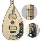 Yissi Elektro Bağlama 9 - Görsel 5