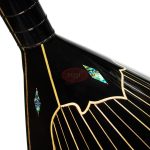 Yissi Elektro Bağlama 10 - Görsel 3